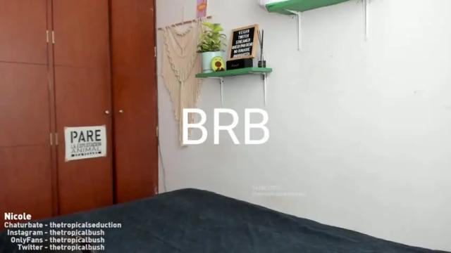 Image 6 of thetropicalseduction Stream on Chaturbate on 12 months ago