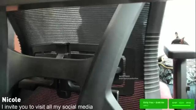 Image 6 of thetropicalseduction Stream on Chaturbate on 2 months ago