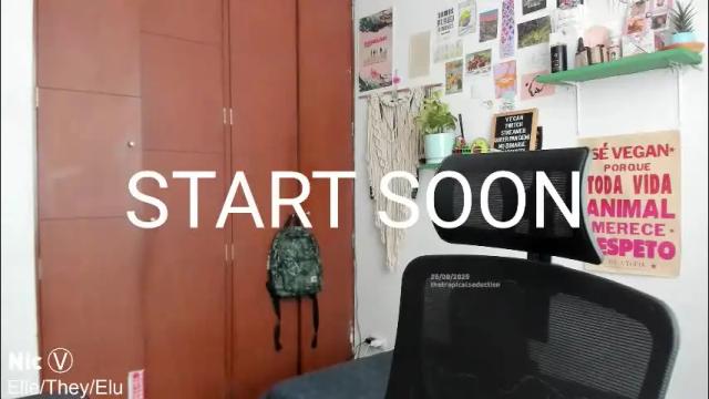 Image 3 of thetropicalseduction Stream on Chaturbate on 2 months ago