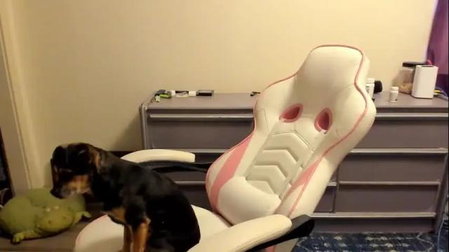 Image 7 of thiccjess420 Stream on Chaturbate on 26 days ago