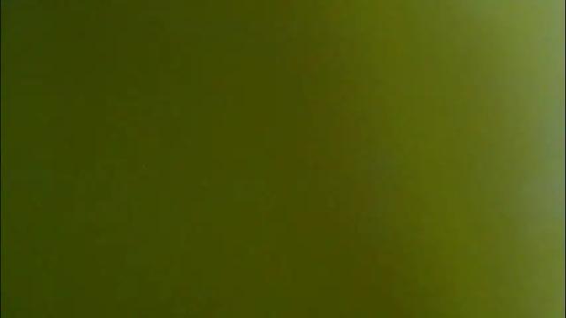 Image 11 of thichslutx Stream on Chaturbate on 3 months ago