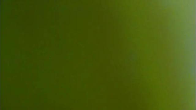 Image 12 of thichslutx Stream on Chaturbate on 3 months ago