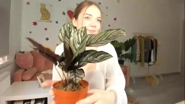 Thumbnail 1, thisisamelia's Stream at Chaturbate, 5 months ago