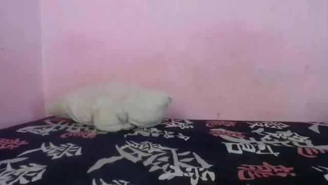 Image 11 of tianiiss_sweet Stream on Chaturbate on 15 months ago