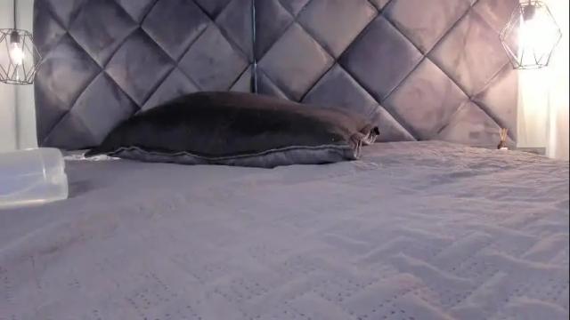 Image 11 of tifanny_slim Stream on Chaturbate on 16 days ago