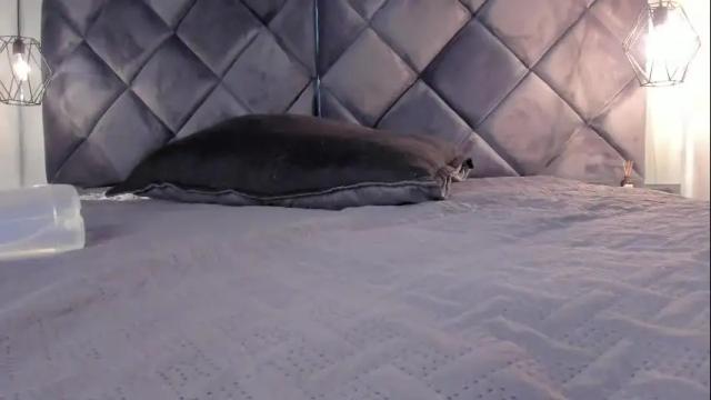 Image 12 of tifanny_slim Stream on Chaturbate on 16 days ago