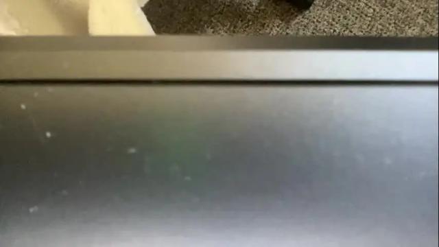 Image 12 of tinarcd151 Stream on Chaturbate on 1 month ago