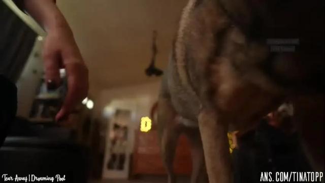 Image 10 of tinatopp Stream on Chaturbate on 2 months ago