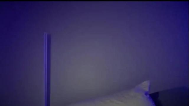 Image 8 of tinydee555 Stream on Chaturbate on 13 months ago