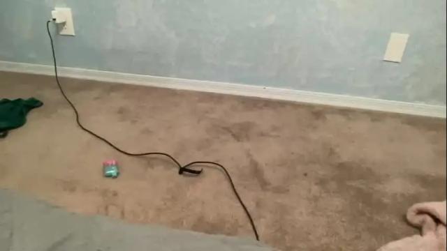Image 11 of tinydee555 Stream on Chaturbate on 2 months ago