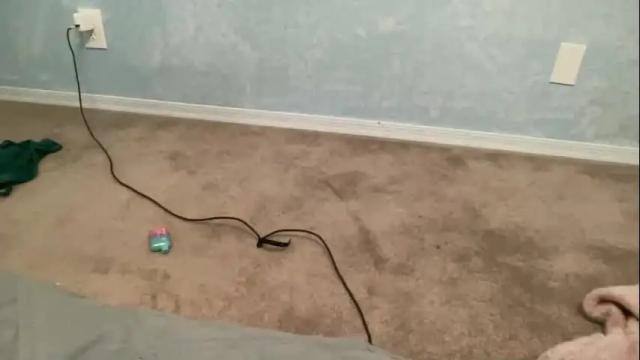 Image 12 of tinydee555 Stream on Chaturbate on 2 months ago