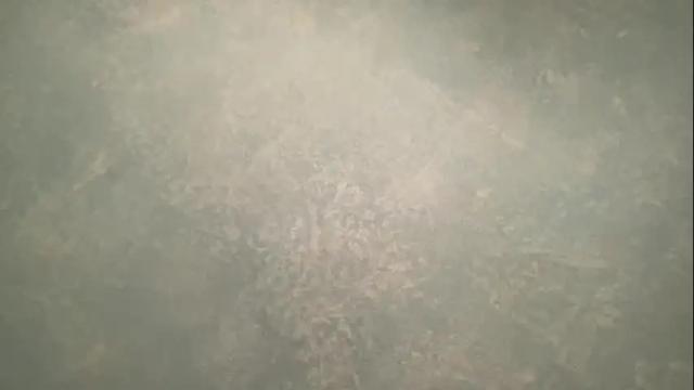 Image 6 of tinydee555 Stream on Chaturbate on 2 months ago