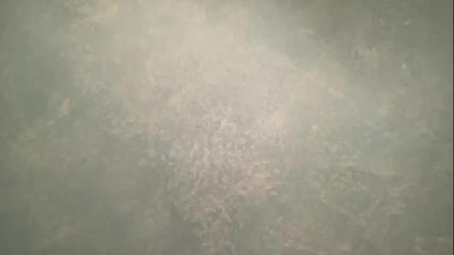 Image 7 of tinydee555 Stream on Chaturbate on 2 months ago