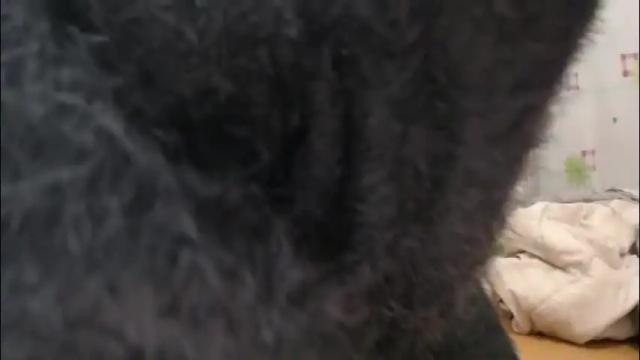 Thumbnail 1, tinyslut66's Stream at Chaturbate, 14 hours ago