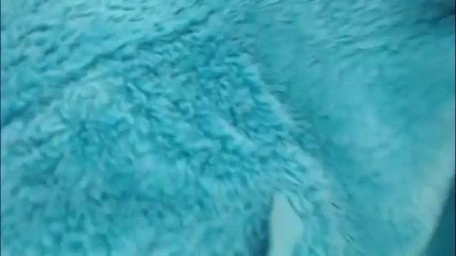 Image 3 of tinyslut66 Stream on Chaturbate on 1 month ago