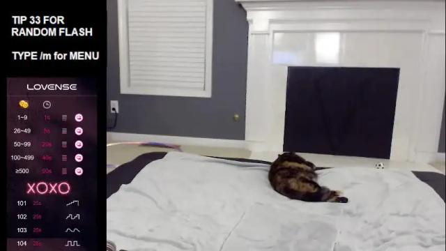 Thumbnail 3, tinyvixxen's Stream at Chaturbate, 26 days ago