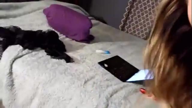 Image 6 of tittee_mcgee Stream on Chaturbate on 14 months ago