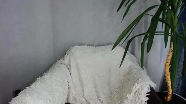 Image 11 of tokens_are_sexy Stream on Chaturbate on 20 days ago