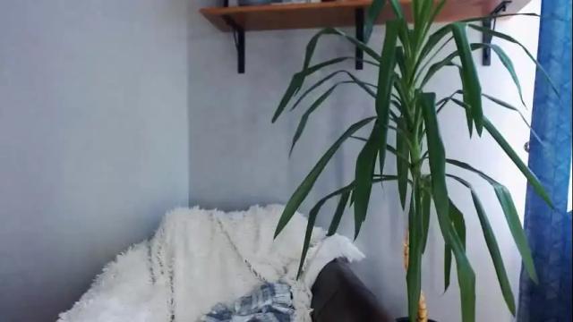 Image 8 of tokens_are_sexy Stream on Chaturbate on 13 days ago