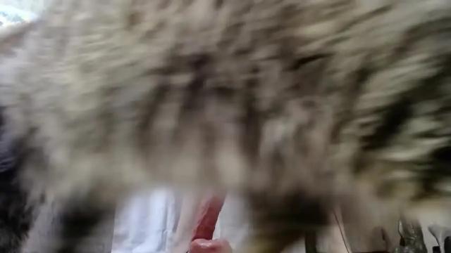 Image 7 of tokyo_rose Stream on Chaturbate on 18 months ago