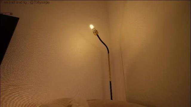 Thumbnail 2, tollysage's Stream at Chaturbate, 20 days ago