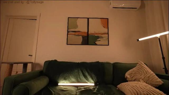 Image 4 of tollysage Stream on Chaturbate on 14 days ago