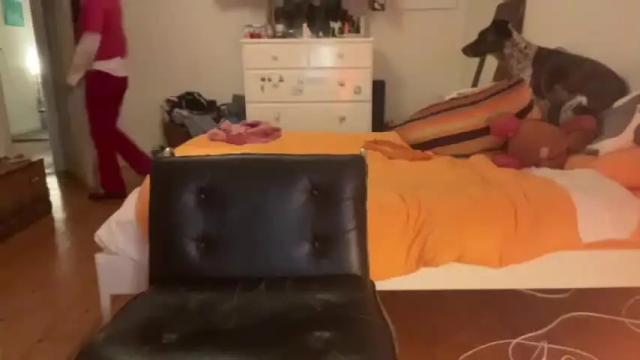 Thumbnail 2, tomboyskank's Stream at Chaturbate, 14 months ago