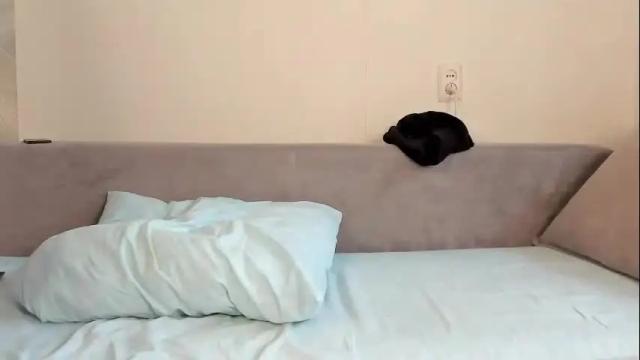 Image 12 of tommy_and_katie Stream on Chaturbate on 15 days ago