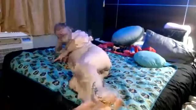 Image 10 of toylovencouple Stream on Chaturbate on 13 months ago