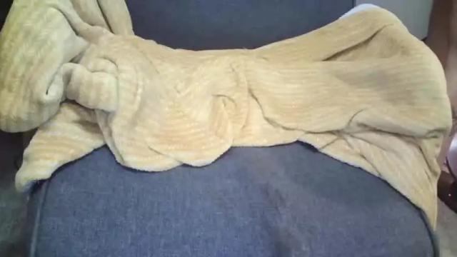 Image 12 of transcannabis420 Stream on Chaturbate on 15 months ago