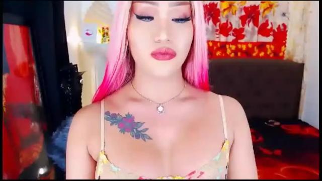 Image 10 of transplayfullolivia Stream on Chaturbate on 17 months ago