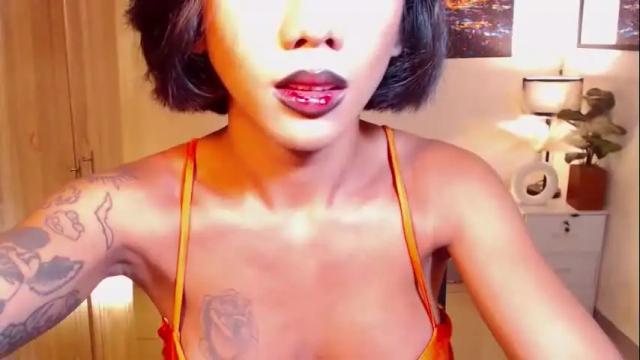Image 12 of transpornidol Stream on Chaturbate on 7 days ago