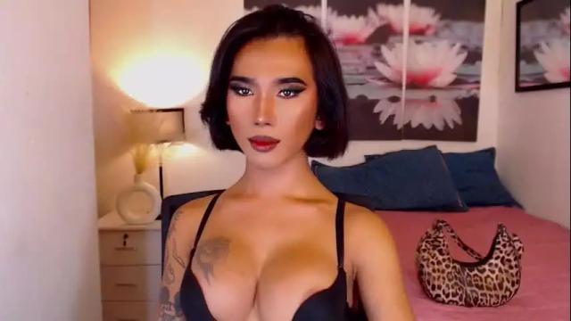 Thumbnail 2, transpornidol's Stream at Chaturbate, 19 hours ago