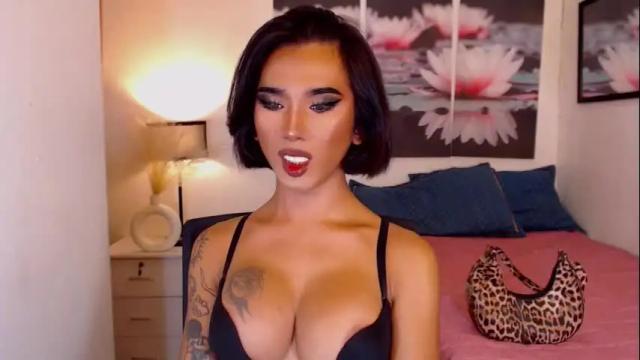 Image 6 of transpornidol Stream on Chaturbate on 6 days ago