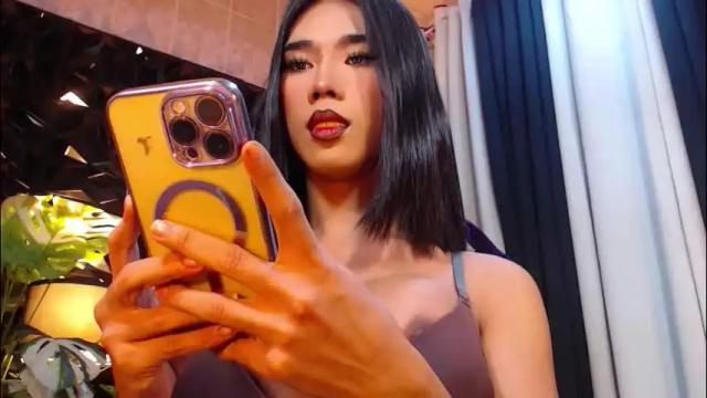 Image 4 of transpornidol Stream on Chaturbate on 2 months ago