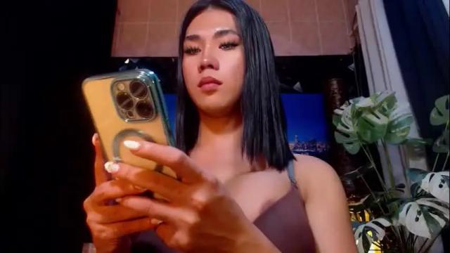 Image 3 of transpornidol Stream on Chaturbate on 19 days ago