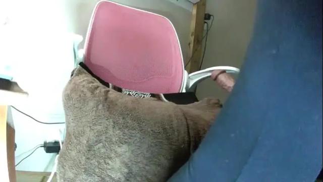 Thumbnail 1, trapslutlexxxi's Stream at Chaturbate, 20 days ago