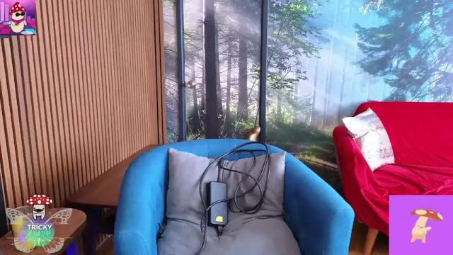 Image 6 of tricky_nymph Stream on Chaturbate on 5 days ago