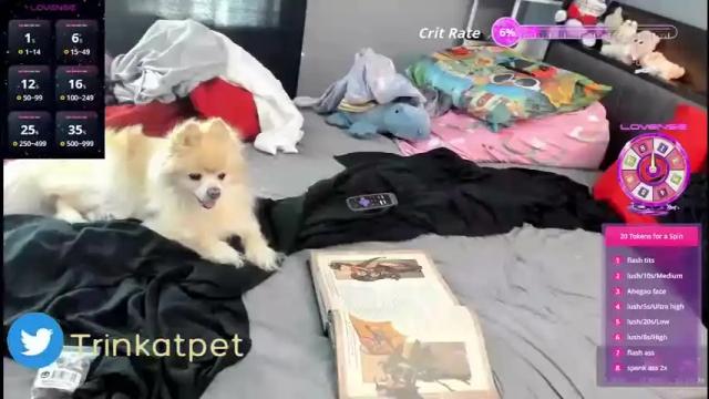 Thumbnail 1, trinitykatze's Stream at Chaturbate, 1 month ago