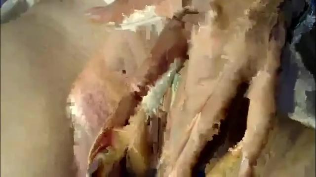 Image 11 of trioa Stream on Chaturbate on 1 month ago