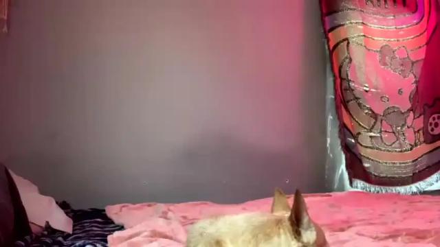 Image 2 of trippybunny999 Stream on Chaturbate on 19 months ago