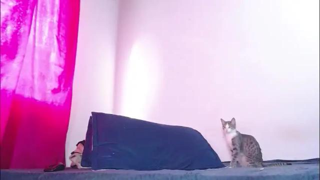 Image 11 of trix_fiore_oficial Stream on Chaturbate on 3 days ago