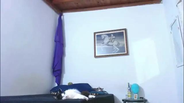 Thumbnail 3, trix_fiore_oficial's Stream at Chaturbate, 15 days ago