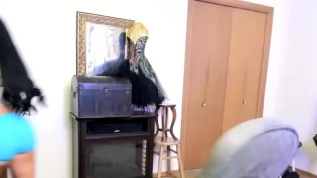 Thumbnail 1, trulyaris_22's Stream at Chaturbate, 27 months ago