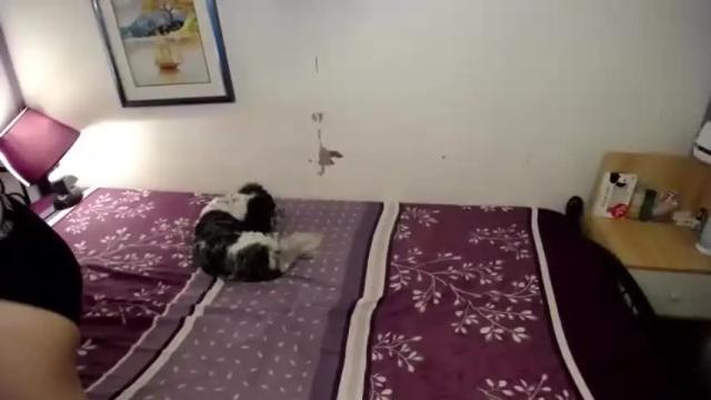 Image 3 of ts_lorraine Stream on Chaturbate on 15 months ago