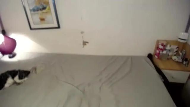 Image 4 of ts_lorraine Stream on Chaturbate on 14 months ago