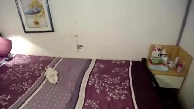 Image 2 of ts_lorraine Stream on Chaturbate on 14 months ago