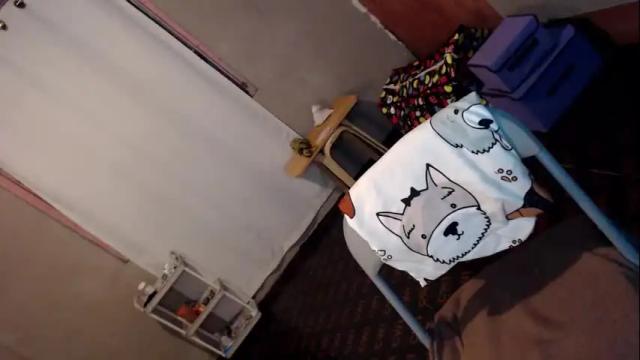Image 6 of ts_lorraine Stream on Chaturbate on 2 months ago