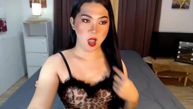 Image 2 of ts_palubina Stream on Chaturbate on 25 months ago