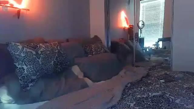 Image 11 of tsamberwhite007 Stream on Chaturbate on 3 months ago